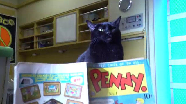 Cosmic Cat - black cat Penny with comic book
