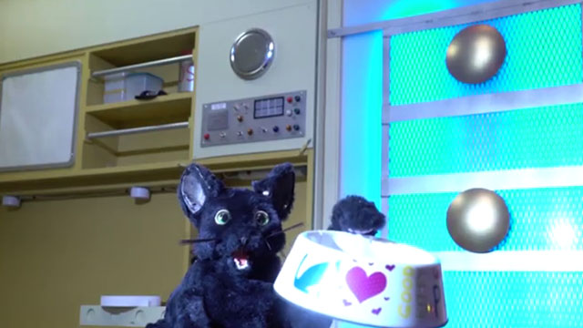 Cosmic Cat - mechanical black cat Penny with food bowl