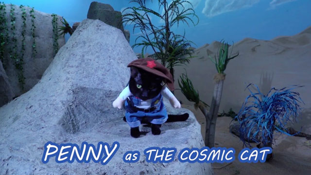 Cosmic Cat - black cat Penny credit screen