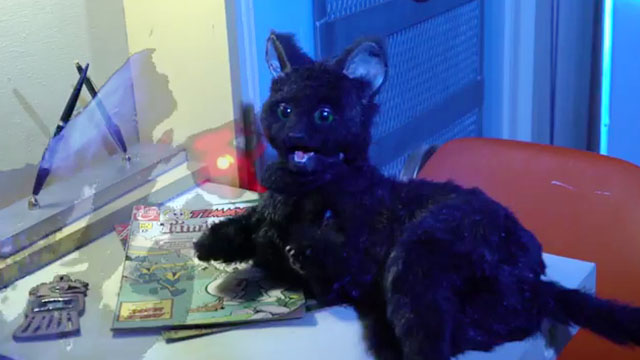 Cosmic Cat - mechanical black cat Penny looking scared