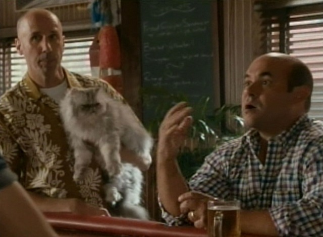 Cougar Town - Time to Move On Snowball cat held by Tom with Andy