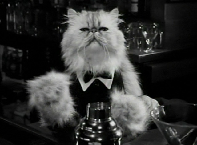 Cougar Town - Time to Move On Snowball cat playing bartender in Catsablanca