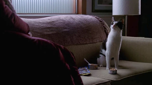 Crossing Jordan - Blue Moon - tuxedo cat on couch