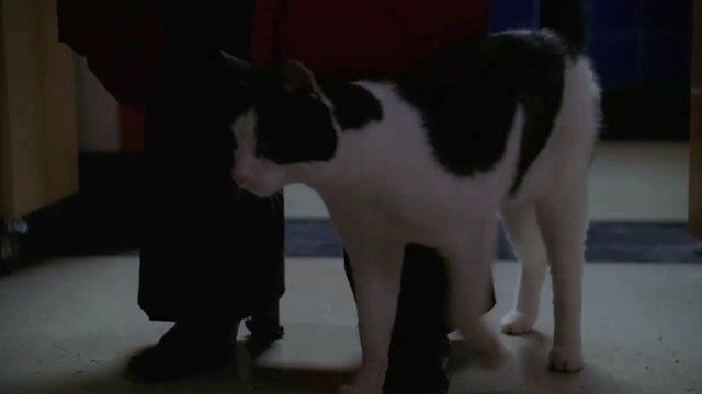 Crossing Jordan - Blue Moon - tuxedo cat at Lily's feet