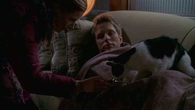 Crossing Jordan - Blue Moon - Seeley David Monahan sleeping on couch with Lily Kathryn Hahn feeding tuxedo cat