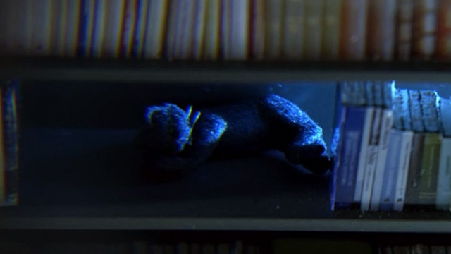 CSI: Crime Scene Investigation - Monster in the Box - miniature gray cat on bookshelf