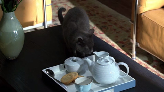 CSI: Crime Scene Investigation - Monster in the Box - gray cat on coffee table with tray of tea and cookies