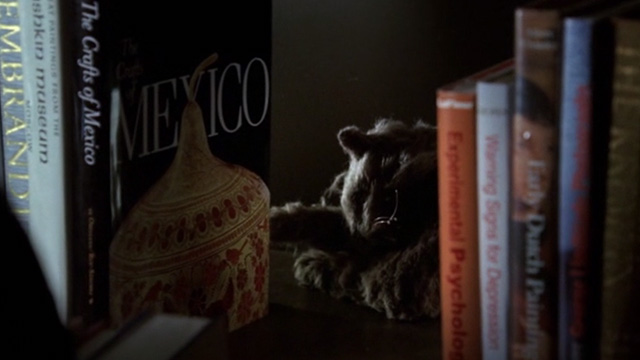 CSI: Crime Scene Investigation - Monster in the Box - gray cat lying dead on bookshelf