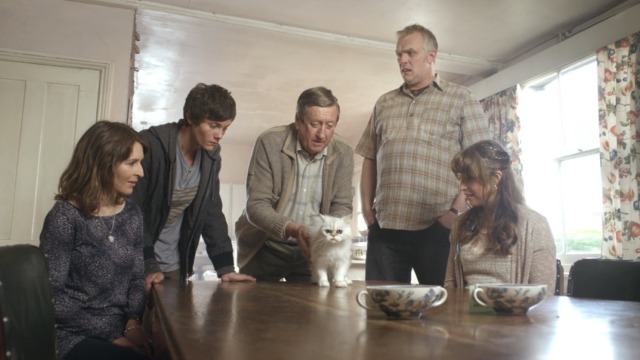 Cuckoo - Grandfather's Cat white Persian cat Floxsie faced with choice of two cups