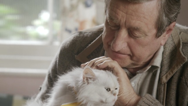 Cuckoo - Grandfather's Cat Tony Philip Jackson pets white Persian cat Floxsie