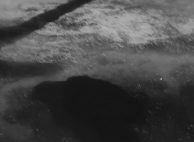 Daniel Boone - Daughter of the Devil - longhair black cat crawling away