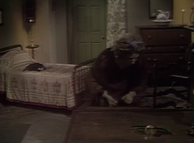 Dark Shadows - tuxedo cat on bed in background