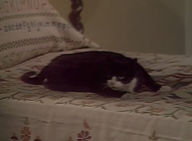 Dark Shadows - tuxedo cat on bed