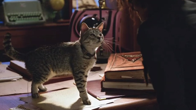 DC's Legends of Tomorrow - Legends of To Meow Meow - Zari as a tabby cat with Charlie Maisie Richardson-Sellers