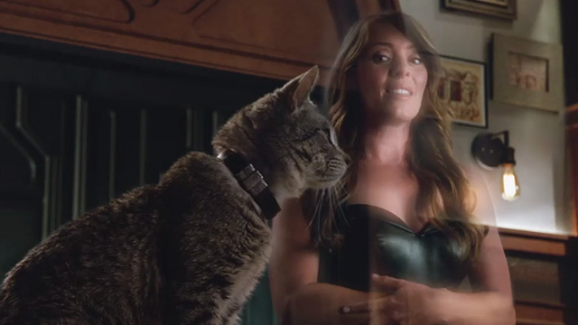 DC's Legends of Tomorrow - Legends of To Meow Meow - Zari as a tabby cat