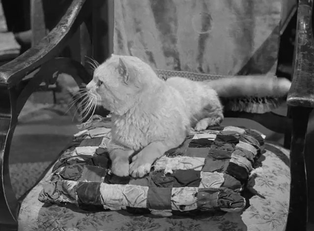 Death Valley Days - Faro Bill's Layout - ginger cat Samantha Orangey sitting on chair in living room