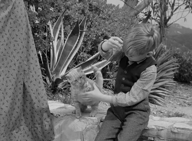 Death Valley Days - Faro Bill's Layout - ginger cat Samantha Orangey playing with cork on string held by Butch Gary Hunley