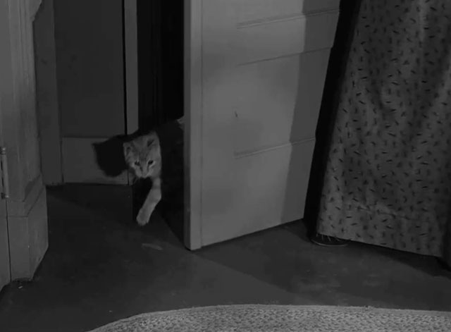 Death Valley Days - Faro Bill's Layout - ginger cat Samantha Orangey exiting closet