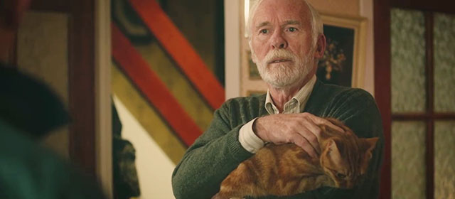 Derry Girls - The Night Before - Joe Ian Mcelhinney holding ginger tabby cat Seamus