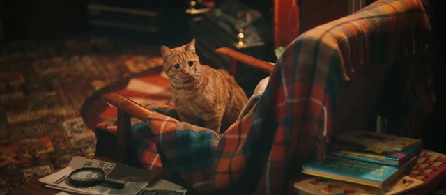 Derry Girls - The Night Before - ginger tabby cat Seamus looking innocent in chair