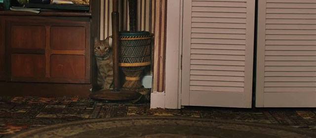 Derry Girls - The Night Before - ginger tabby cat Seamus hiding in corner