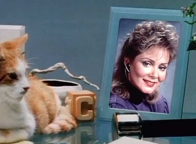 Designing Women - Mr. Bailey - orange and white tabby cat sitting next to Charlene Jean Smart picture frame in opening credits