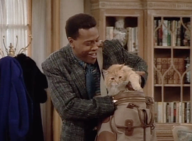 Designing Women - Mr. Bailey - Anthony Meshach Taylor pulling long haired ginger tabby cat out of bag