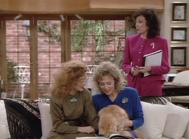 Designing Women - Mr. Bailey - long haired ginger tabby cat looking at wallpaper samples with Mary Jo Annie Potts and Charlene Jean Smart with Julia Dixie Carter behind