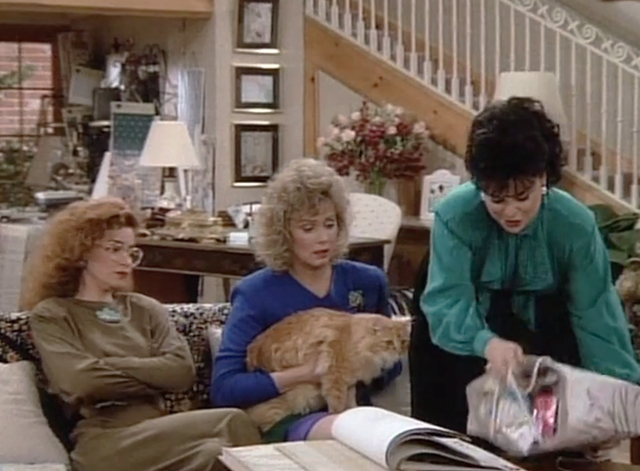 Designing Women - Mr. Bailey - long haired ginger tabby cat with Mary Jo Annie Potts and Charlene Jean Smart as Suzanne Dixie Carter drops cat toys