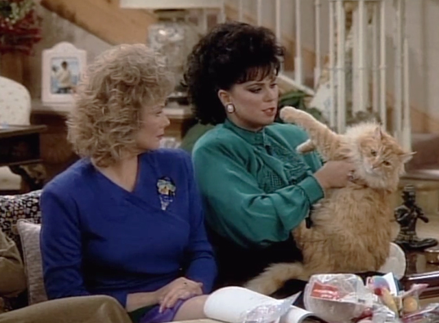 Designing Women - Mr. Bailey - long haired ginger tabby cat being held by Suzanne Delta Burke with Charlene Jean Smart