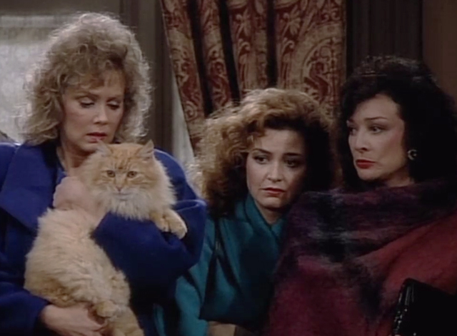 Designing Women - Mr. Bailey - long haired ginger tabby cat held by Charlene Jean Smart with Mary Jo Annie Potts and Julia Dixie Carter