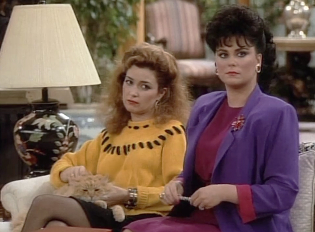 Designing Women - Mr. Bailey - long haired ginger tabby cat held by Mary Jo Annie Potts with Suzanne Delta Burke