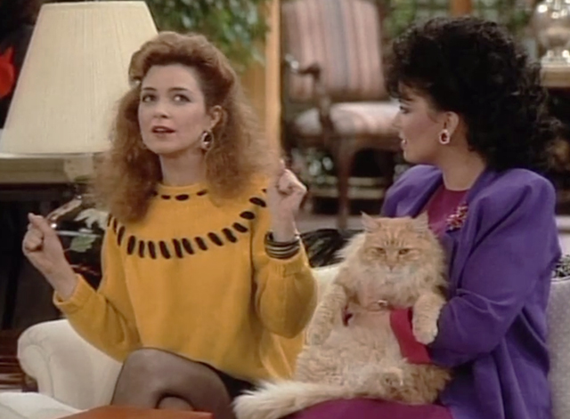 Designing Women - Mr. Bailey - long haired ginger tabby cat held by Suzanne Delta Burke with Mary Jo Annie Potts
