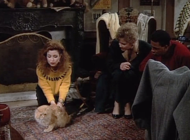 Designing Women - Mr. Bailey - long haired ginger tabby cat put on floor by Mary Jo Annie Potts with Charlene Jean Smart and Anthony Meshach Taylor
