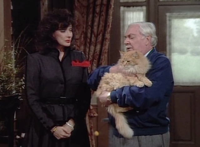 Designing Women - Mr. Bailey - long haired ginger tabby cat held by Joe Hale William Griffis with Julia Dixie Carter
