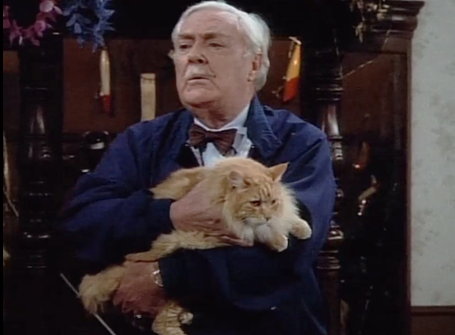 Designing Women - Mr. Bailey - long haired ginger tabby cat held by Joe Hale William Griffis