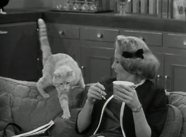The Dick Van Dyke Show - Where You Been, Fassbinder - Mr. Henderson orange tabby cat comes running for food