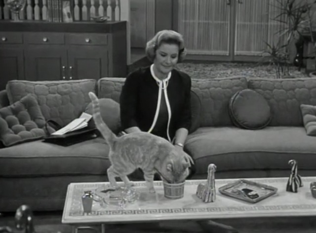 The Dick Van Dyke Show - Where You Been, Fassbinder - Mr. Henderson orange tabby cat eating Sally's food