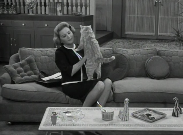 The Dick Van Dyke Show - Where You Been, Fassbinder - Mr. Henderson orange tabby cat held up by Sally