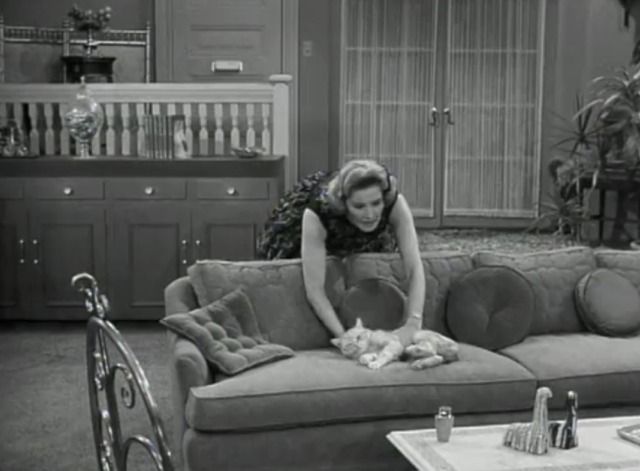 The Dick Van Dyke Show - Where You Been, Fassbinder - Sally reaches over couch for Mr. Henderson orange tabby cat