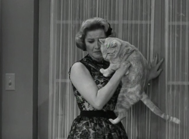The Dick Van Dyke Show - Where You Been, Fassbinder - Mr. Henderson orange tabby cat brought inside