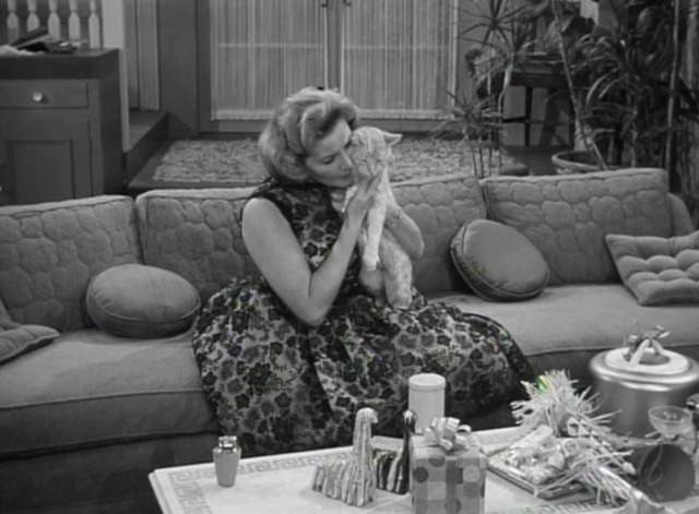 The Dick Van Dyke Show - Where You Been, Fassbinder - Sally hugging Mr. Henderson orange tabby cat