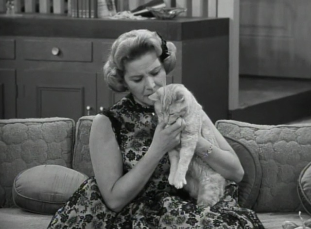 The Dick Van Dyke Show - Where You Been, Fassbinder - Mr. Henderson orange tabby cat held by Sally