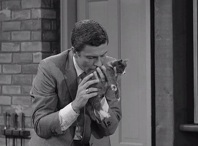 The Dick Van Dyke Show - Gesundheit, Darling - Rob sniffs the grey and white kitten