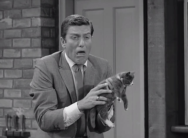 The Dick Van Dyke Show - Gesundheit, Darling - Rob sneezes holding grey and white kitten