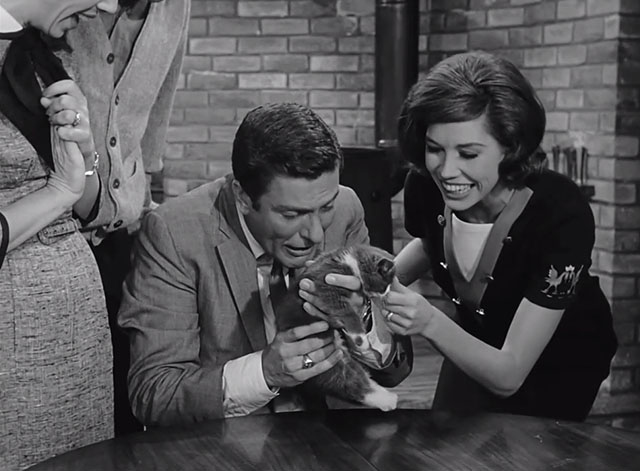 The Dick Van Dyke Show - Gesundheit, Darling - Rob holding kitten with Laura Mary Tyler Moore