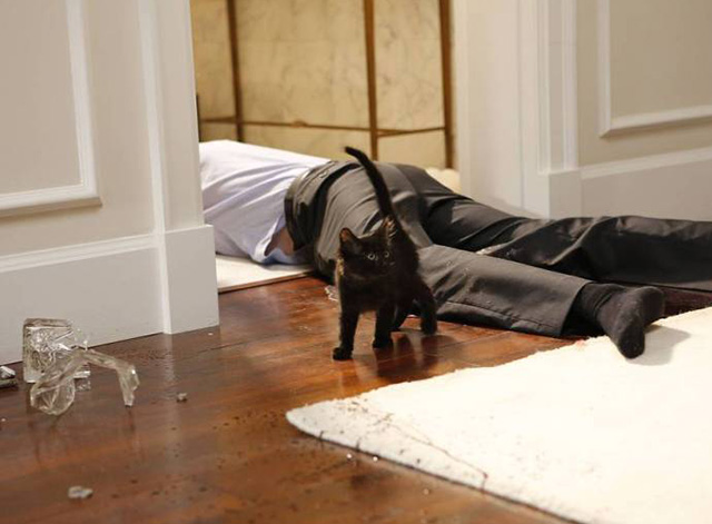 Dirk Gently's Holistic Detective Agency - Horizons - black kitten at crime scene