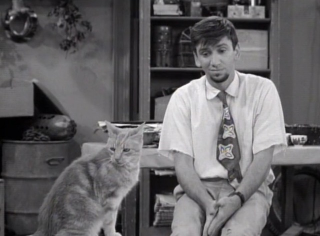 The Many Loves of Dobie Gillis - Jangle Bells Maynard and orange tabby cat sitting in garage closer