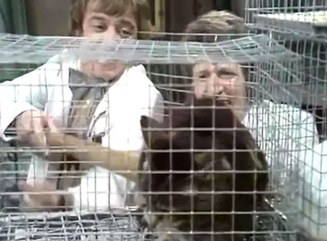 Doctor in Charge - A Man's Best Friend is his Cat - tabby cat Thomas being pushed into cage by Duncan Robin Nedwell and Paul George Layton