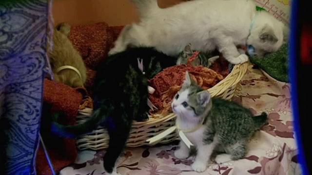 Doctor Who - Gridlock - basket of kittens with ribbons